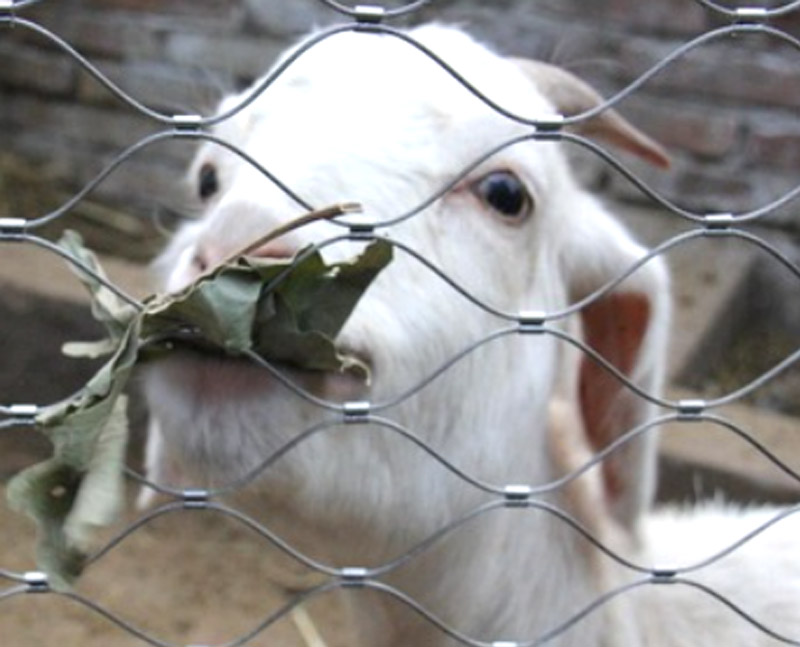 stainless steel cable mesh animal enclosure