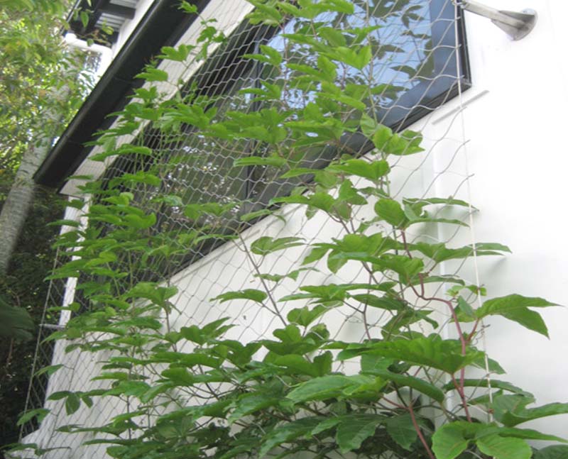 Stainless steel cable mesh green wall