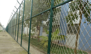 Razor Wire Fence For Isolation