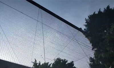 Stainless Steel Cable Mesh Is The Ideal Material For Zoo Construction