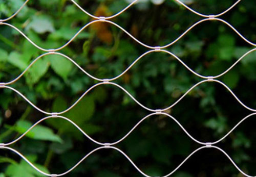 Stainless Steel Cable Mesh Green Wall