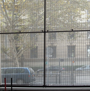 Looking Out The Window Through The Metal Mesh