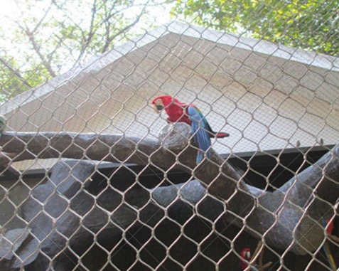 Parrot Enclosure Mesh