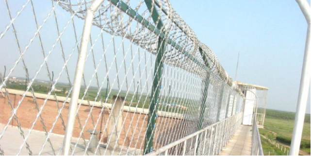 Razor wire fence