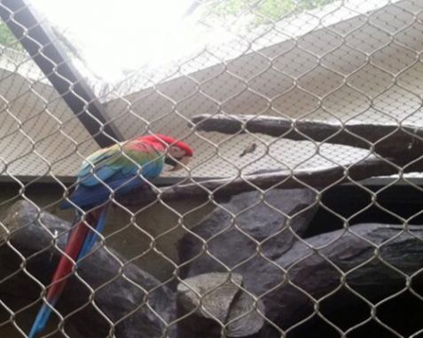 Bird Mesh & Aviary Mesh