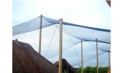 Some Points Need to be Considered When Using Stainless Steel Cable Mesh to Build Large Aviaries