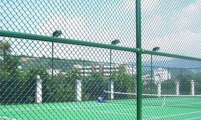 How to Choose Chain Wire Fencing Products?