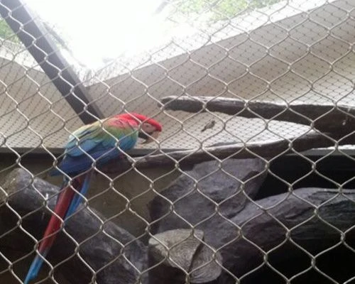 Bird Mesh & Aviary Mesh