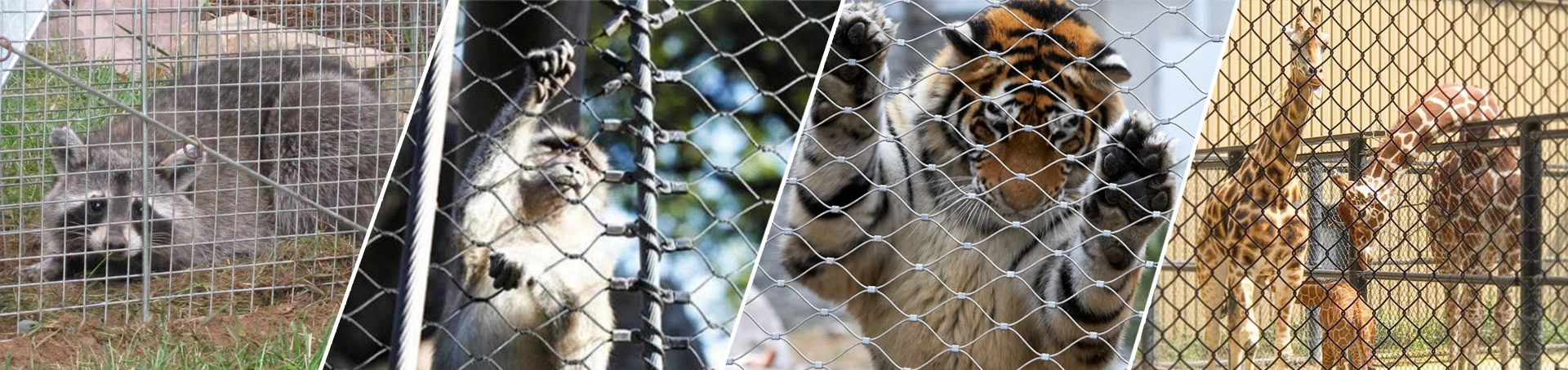 Zoo Mesh & Animal Enclosure Mesh